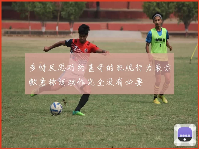 多特反思对约基奇的犯规行为表示歉意称该动作完全没有必要