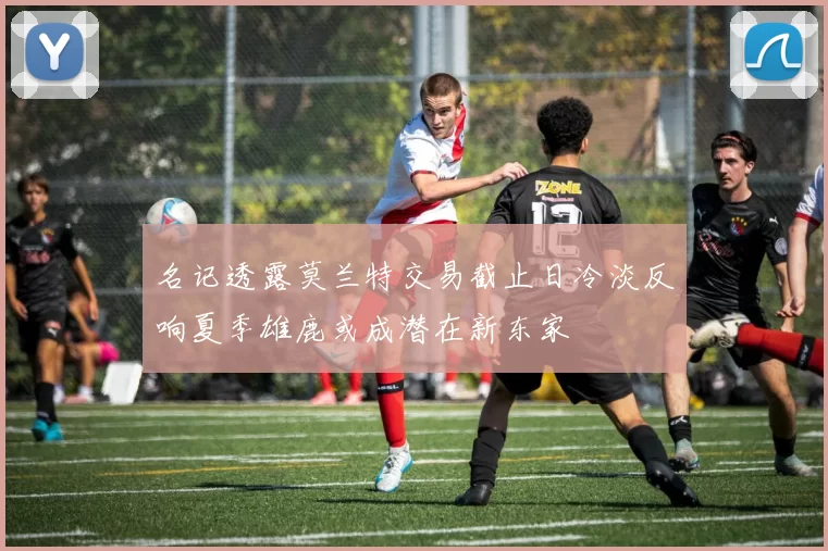名记透露莫兰特交易截止日冷淡反响夏季雄鹿或成潜在新东家