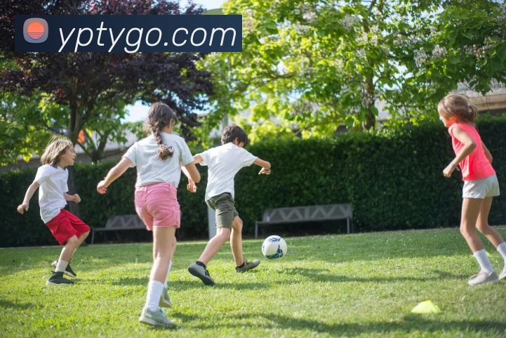 多媒体互动体验